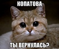 копатова ты вернулась?