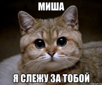 миша я слежу за тобой