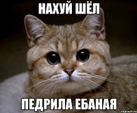 нахуй шёл педрила ебаная