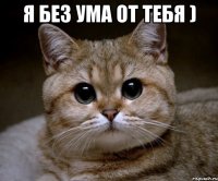 я без ума от тебя ) 