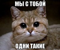 мы с тобой одни такие