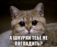  а шнурки тебе не погладить?