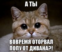 а ты вовремя оторвал попу от дивана?!