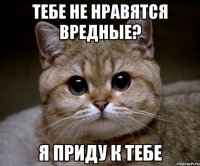 тебе не нравятся вредные? я приду к тебе