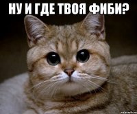 ну и где твоя фиби? 