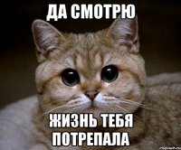 да смотрю жизнь тебя потрепала