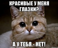 красивые у меня глазки? а у тебя - нет!