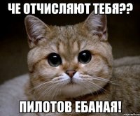 че отчисляют тебя?? пилотов ебаная!