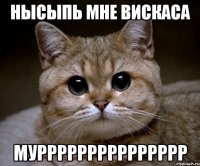 нысыпь мне вискаса муррррррррррррррр