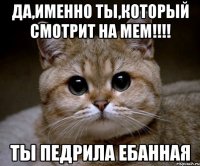 да,именно ты,который смотрит на мем!!! ты педрила ебанная