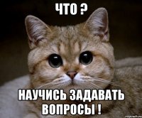 что ? научись задавать вопросы !