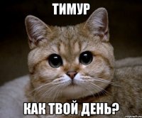 тимур как твой день?