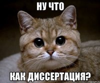 ну что как диссертация?