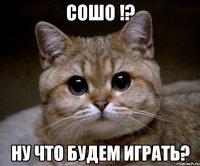 сошо !? ну что будем играть?