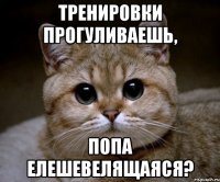 тренировки прогуливаешь, попа елешевелящаяся?