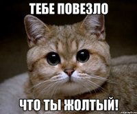 тебе повезло что ты жолтый!