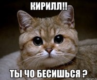 кирилл!! ты чо бесишься ?