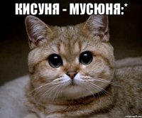 кисуня - мусюня:* 