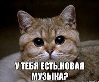  у тебя есть,новая музыка?