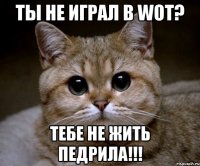 ты не играл в wot? тебе не жить педрила!!!