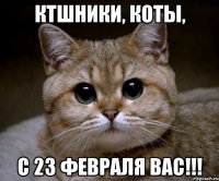 ктшники, коты, с 23 февраля вас!!!