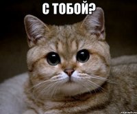 с тобой? 