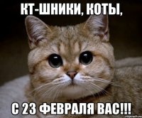 кт-шники, коты, с 23 февраля вас!!!