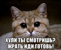  хули ты смотришь? жрать иди готовь!