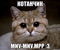 котанчик миу-миу.мрр :3