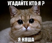 угадайте кто я ? я няша