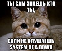 ты сам знаешь кто ты, если не слушаешь system of a down