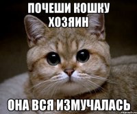 почеши кошку хозяин она вся измучалась