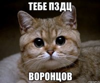 тебе пздц воронцов