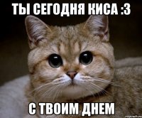 ты сегодня киса :3 с твоим днем