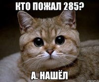 кто пожал 285? а. нашёл