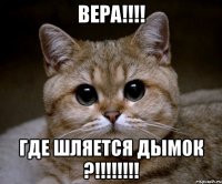 вера!!! где шляется дымок ?!!!