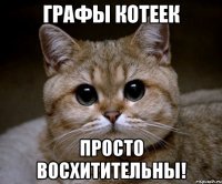 графы котеек просто восхитительны!