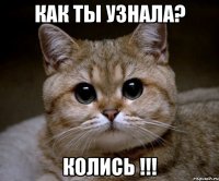 как ты узнала? колись !!!