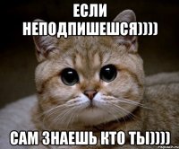 если неподпишешся)))) сам знаешь кто ты))))