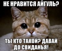 не нравится айгуль? ты кто такой? давай до свиданья!