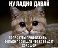 ну ладно давай попробуем продолжить._. только пообещай что всё будет хорошо?