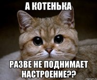 а котенька разве не поднимает настроение??