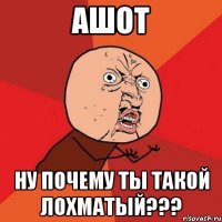 ашот ну почему ты такой лохматый???