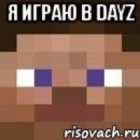 я играю в dayz 