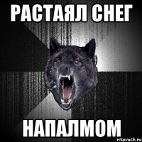 растаял снег напалмом