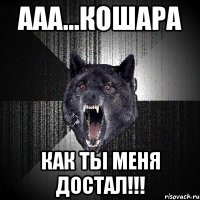 ааа...кошара как ты меня достал!!!