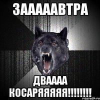 зааааавтра дваааа косаряяяяя!!!