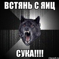 встянь с яиц сука!!!