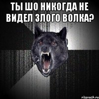 ты шо никогда не видел злого волка? 