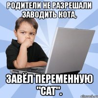 родители не разрешали заводить кота, завёл переменную "cat".